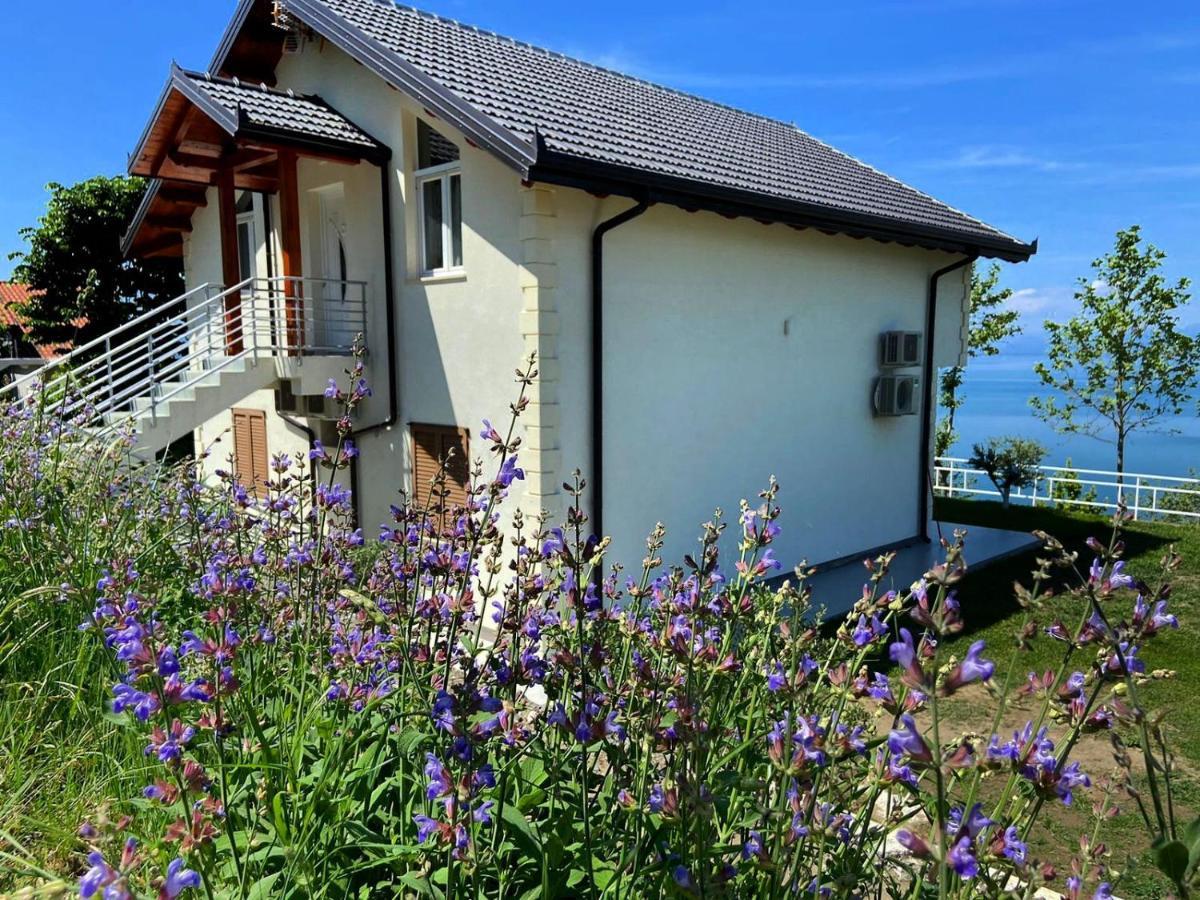 Xhuli Guesthouse Shkodra Kültér fotó