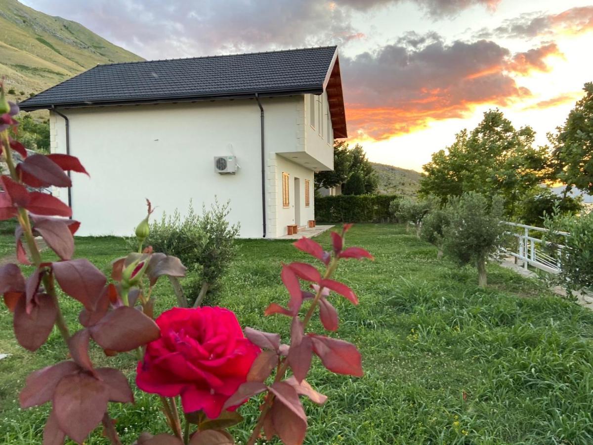 Xhuli Guesthouse Shkodra Kültér fotó