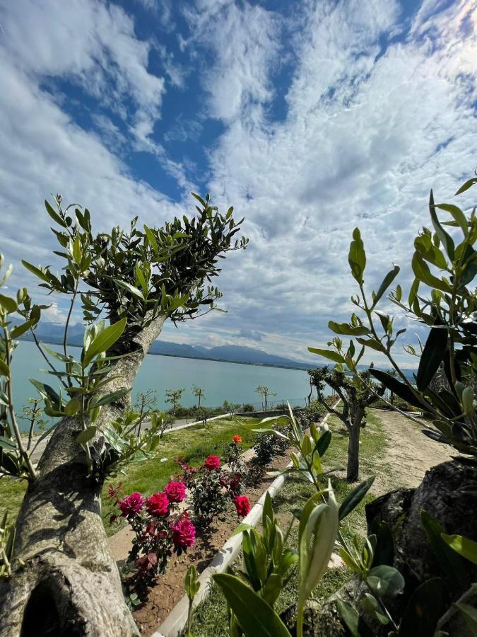 Xhuli Guesthouse Shkodra Kültér fotó
