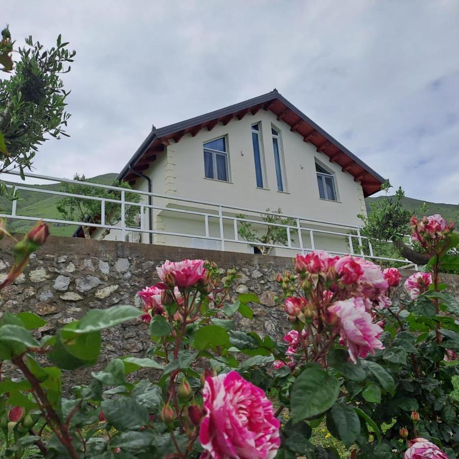 Xhuli Guesthouse Shkodra Kültér fotó