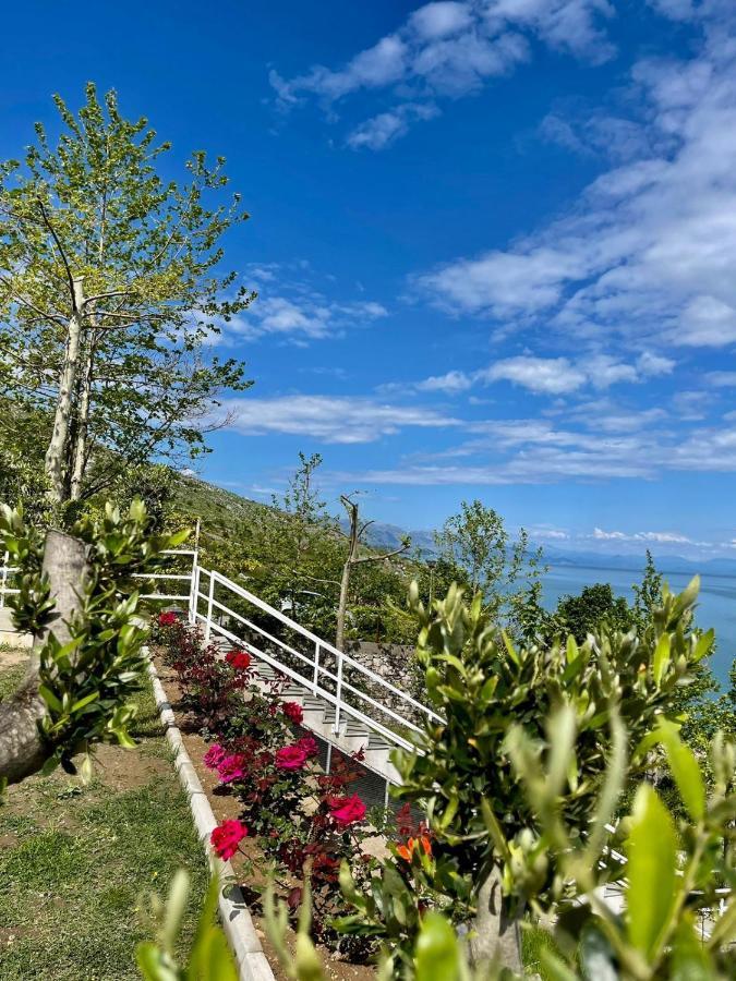 Xhuli Guesthouse Shkodra Kültér fotó