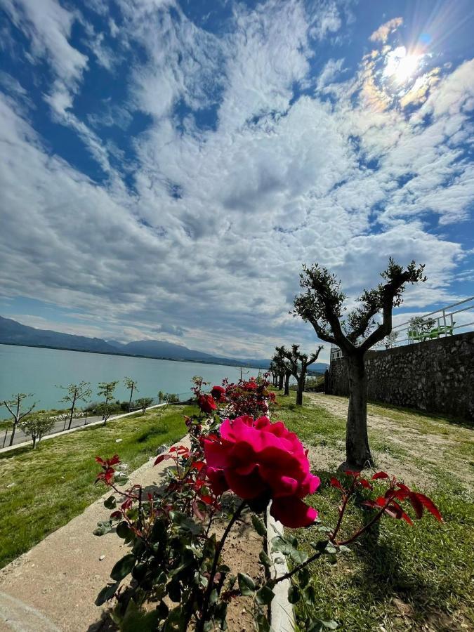 Xhuli Guesthouse Shkodra Kültér fotó